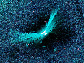 Illustration for article titled Nanomaterial Photos As Modern Art